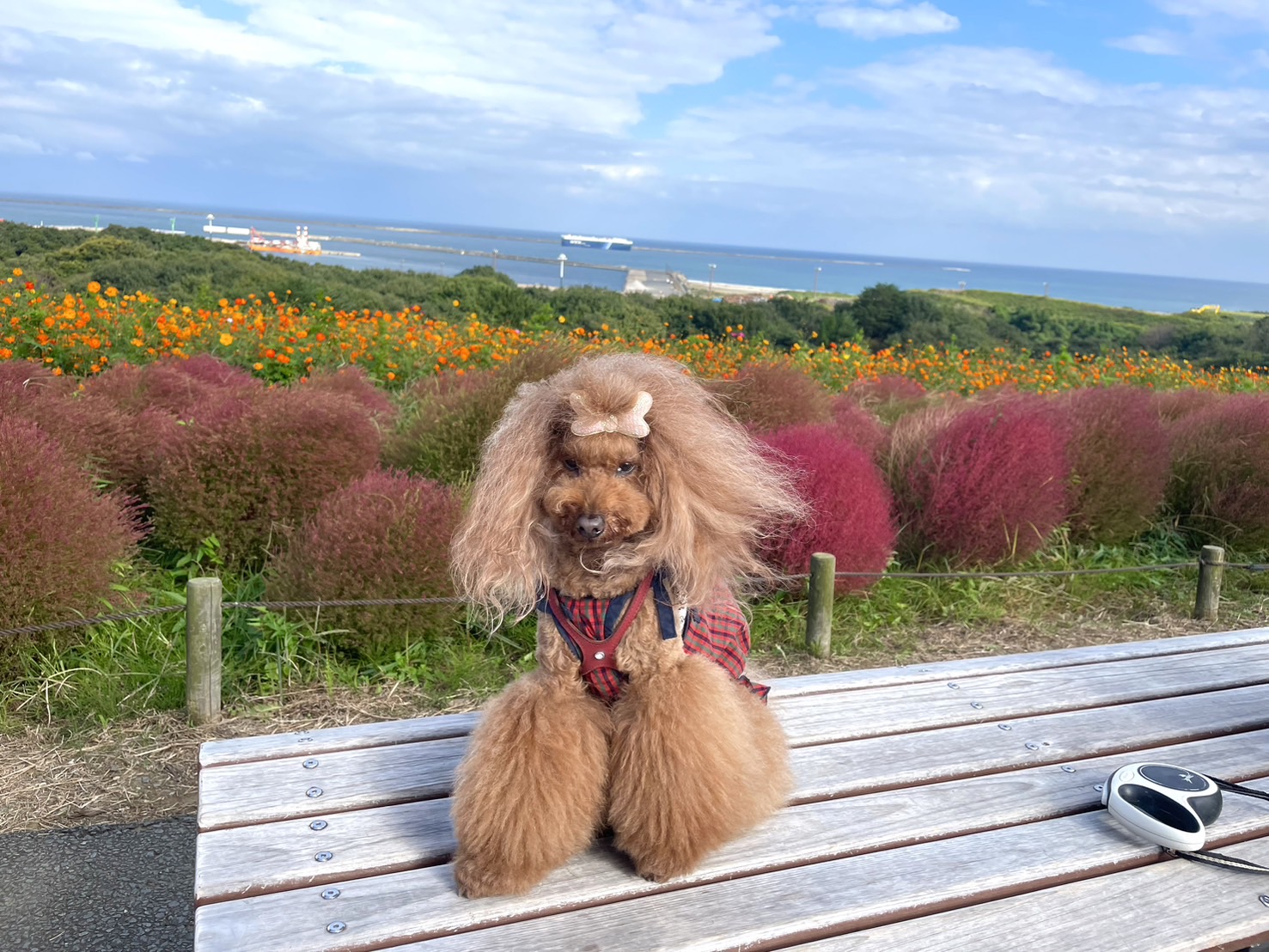 過去開催したツアーの写真