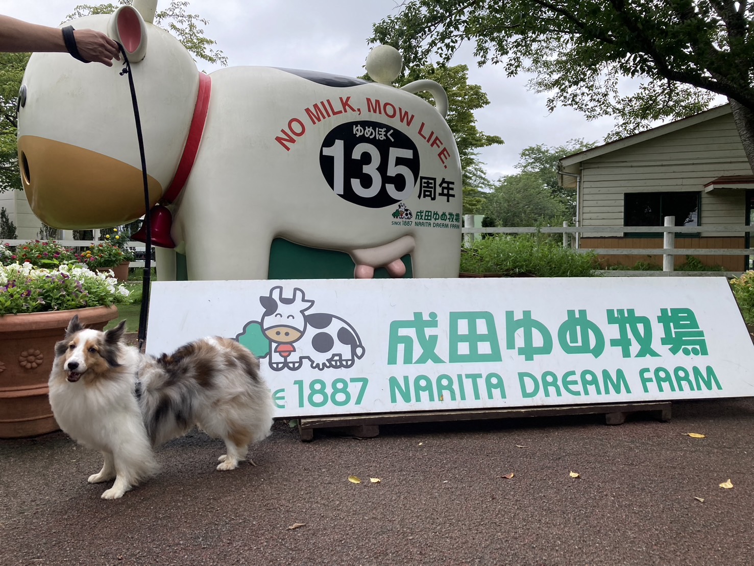 過去開催したツアーの写真