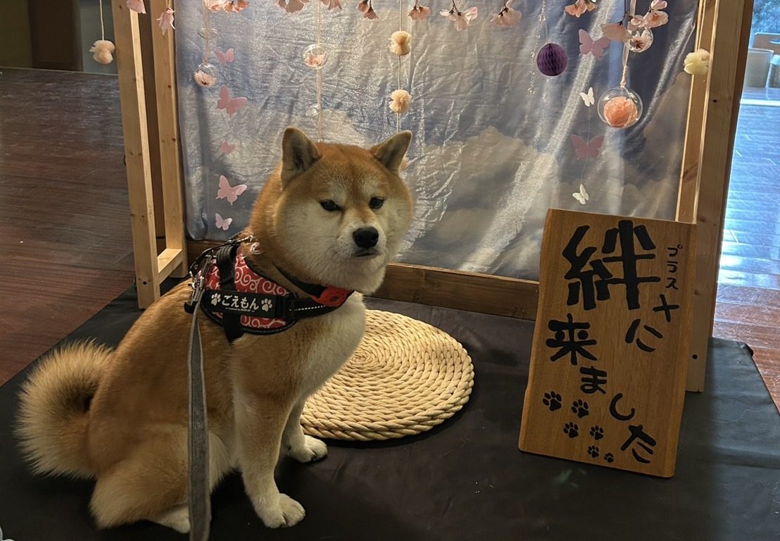 過去開催したツアーの写真