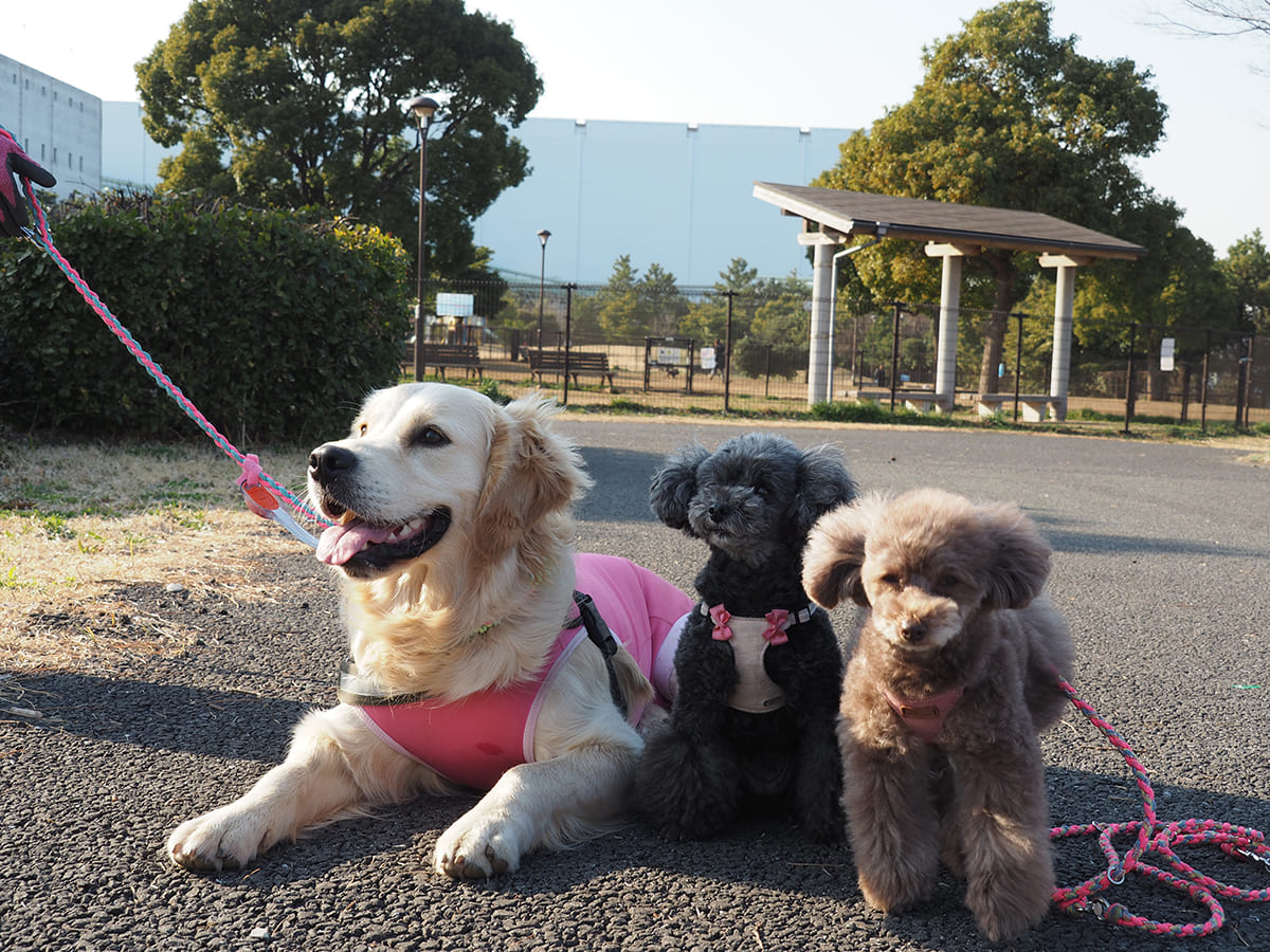 過去開催したツアーの写真