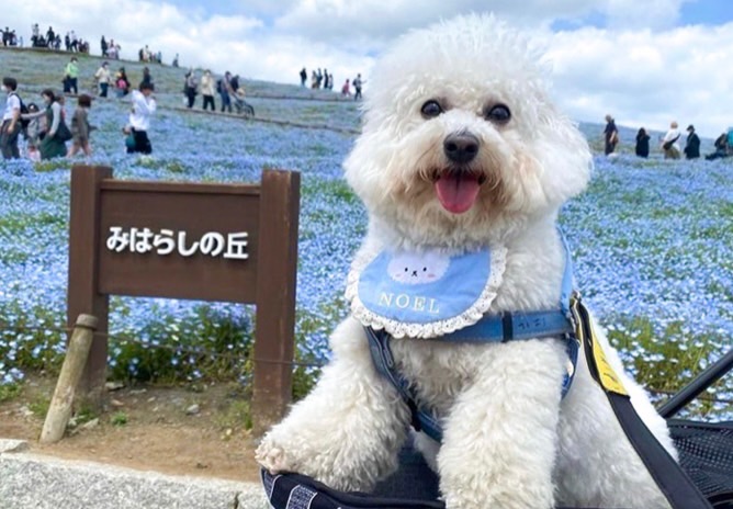 過去開催したツアーの写真