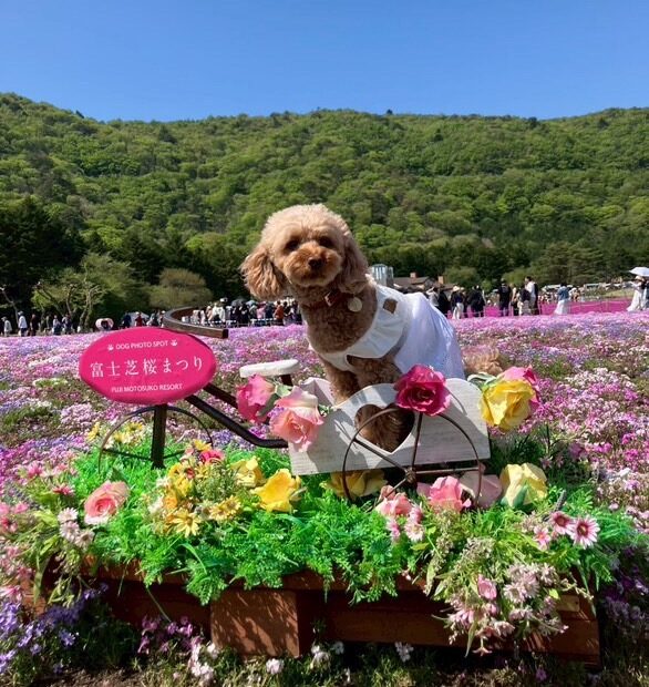 過去開催したツアーの写真