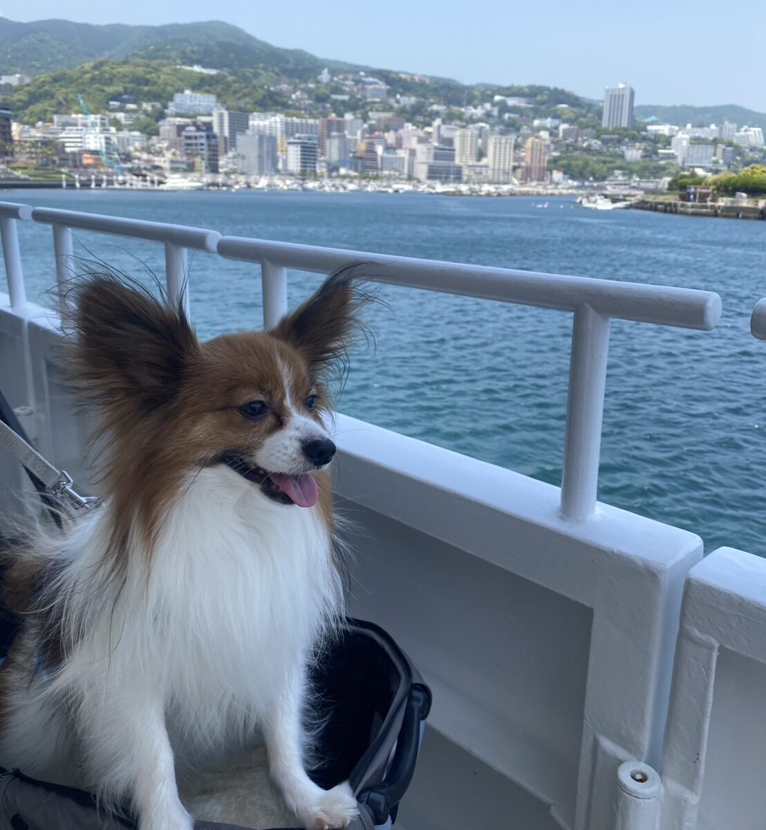 過去開催したツアーの写真