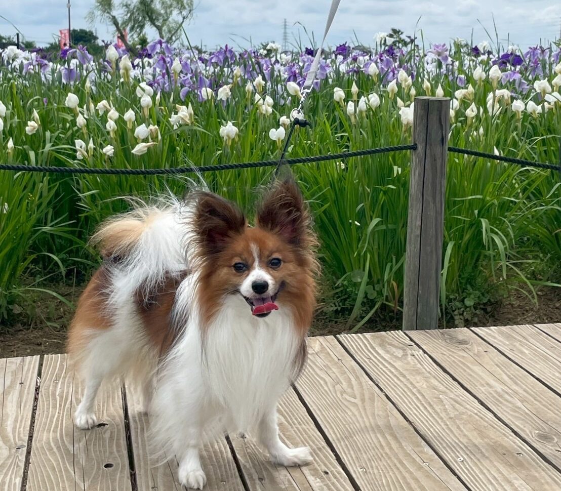 過去開催したツアーの写真