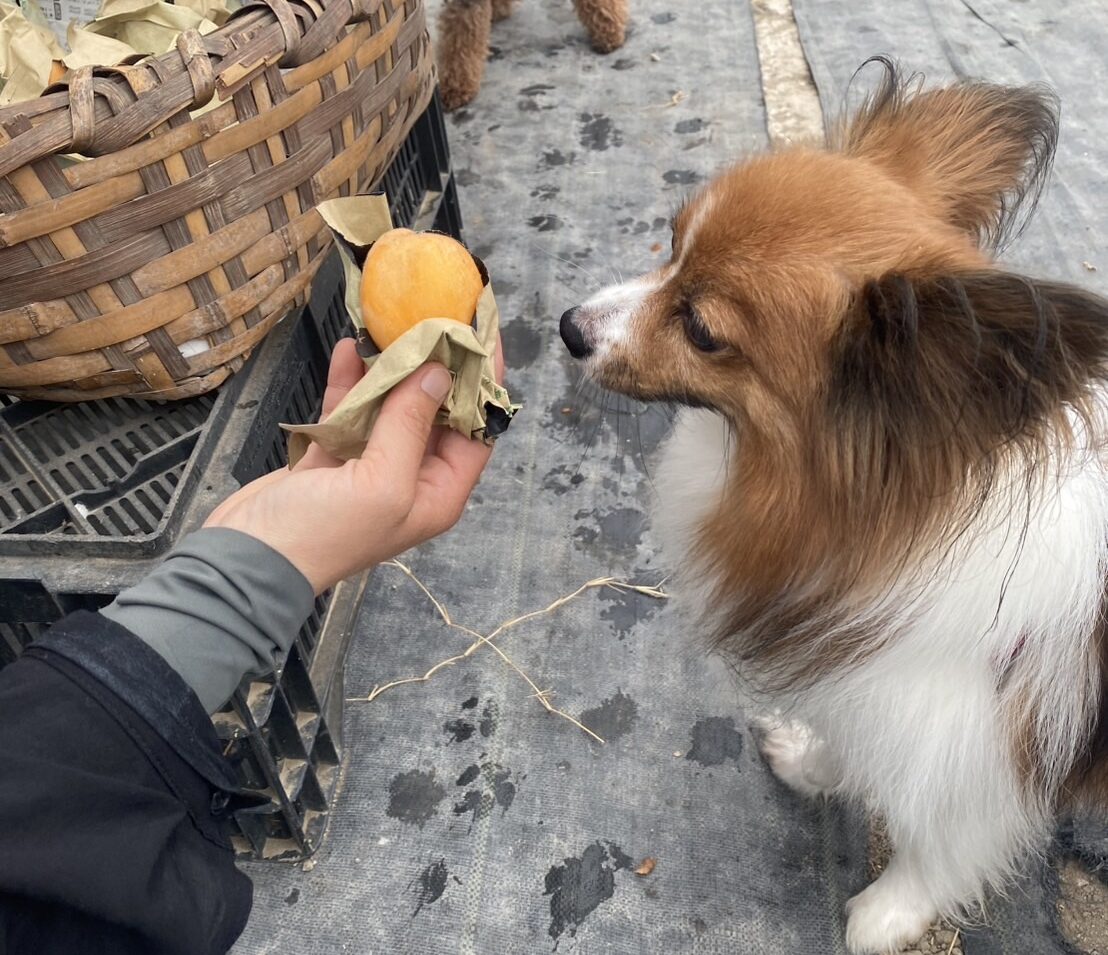 過去開催したツアーの写真