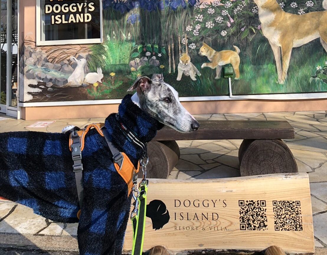 過去開催したツアーの写真