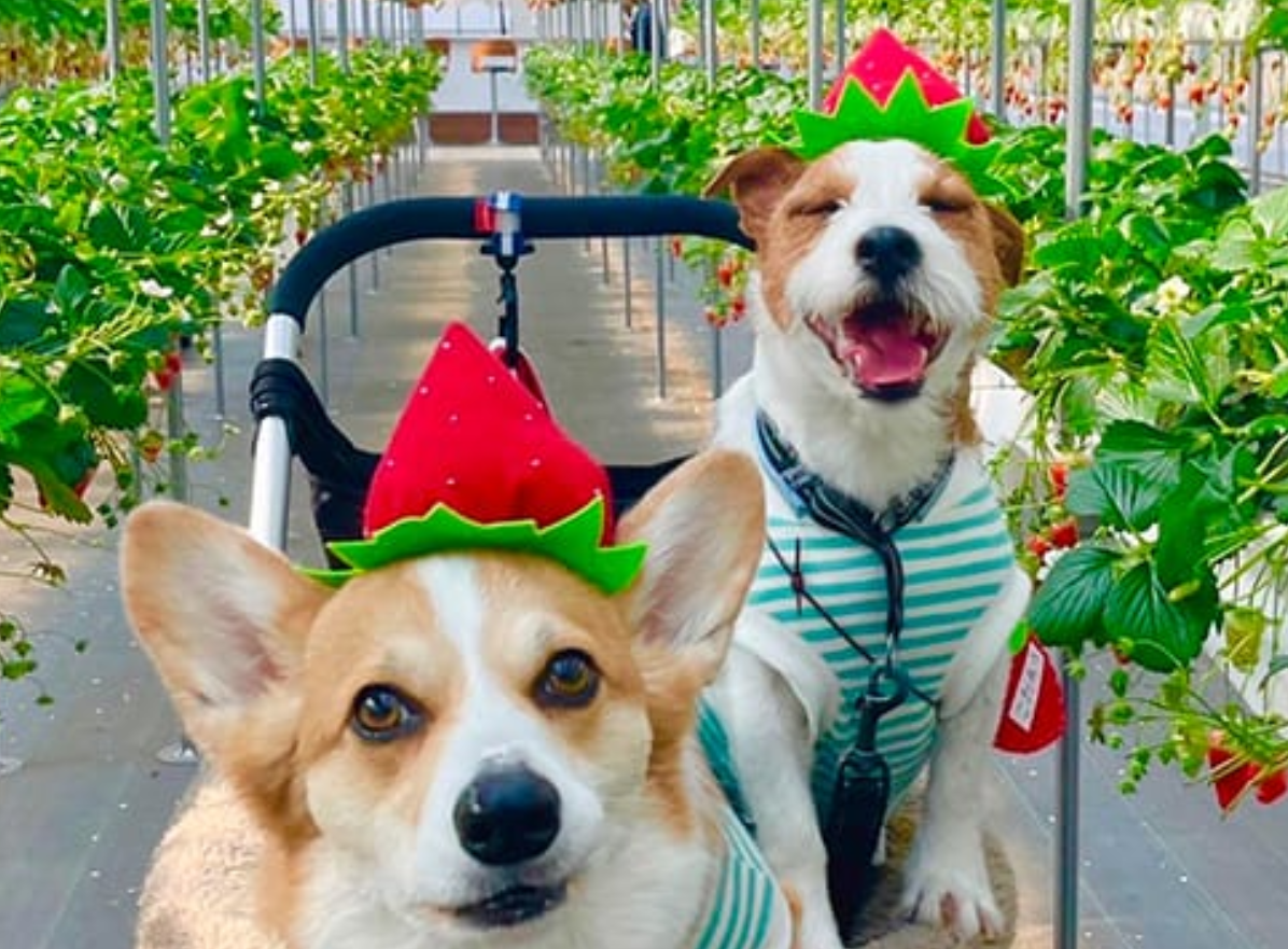 過去開催したツアーの写真