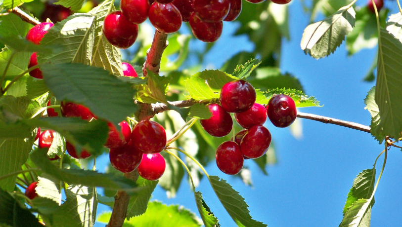 過去開催したツアーの写真
