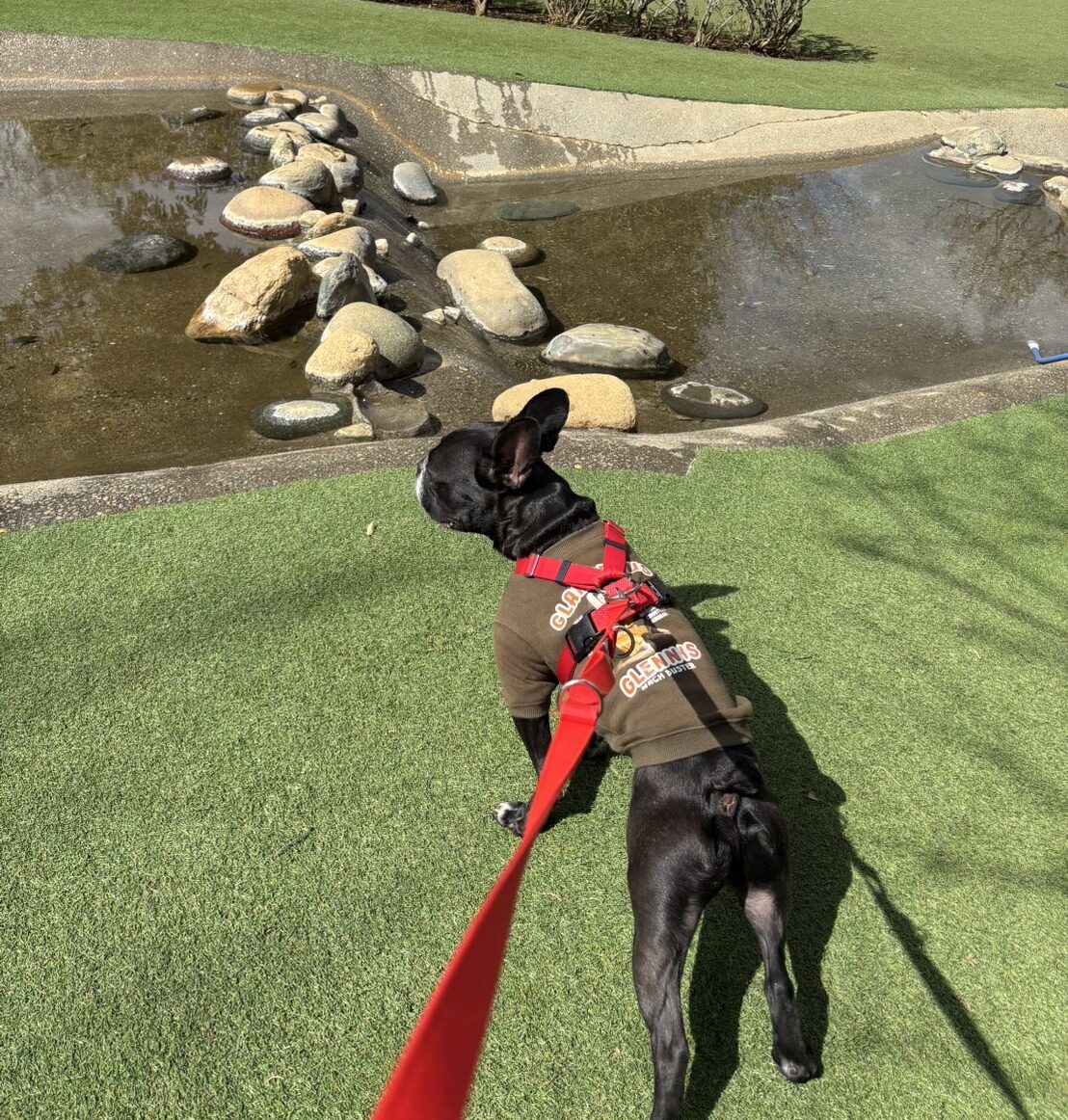 過去開催したツアーの写真