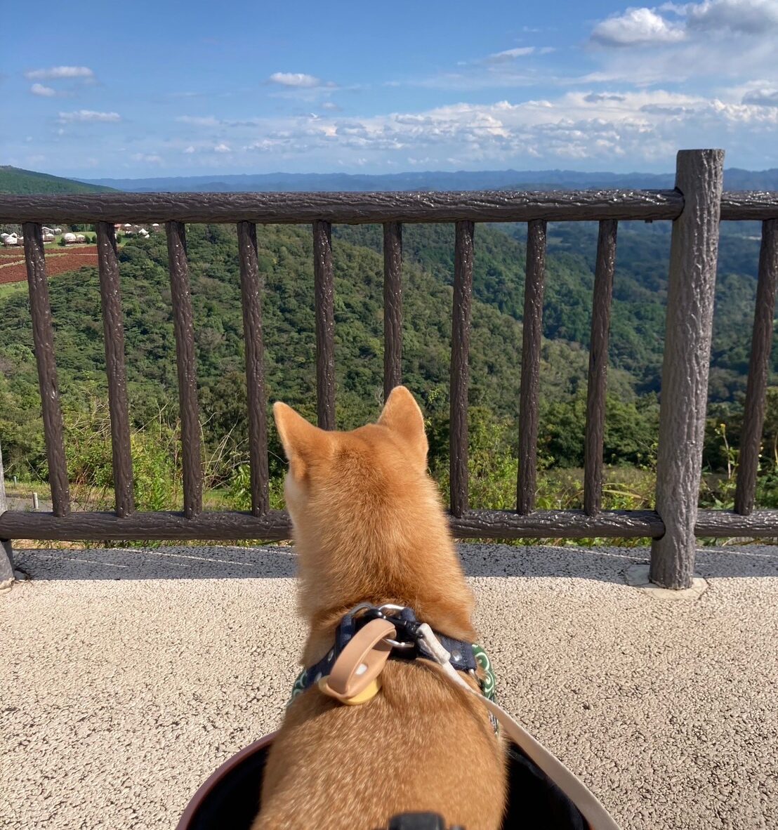 過去開催したツアーの写真