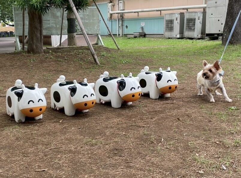 過去開催したツアーの写真