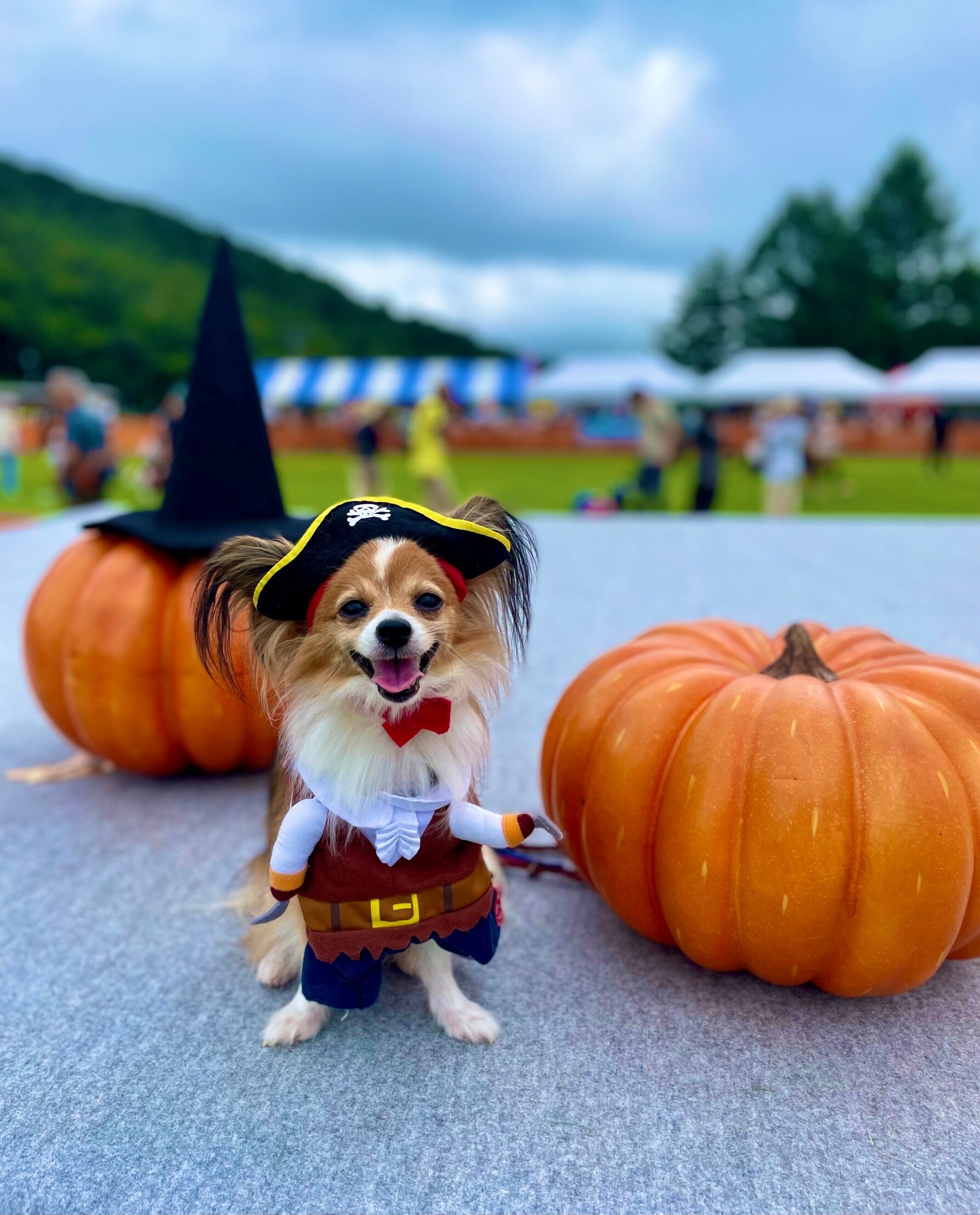 過去開催したツアーの写真