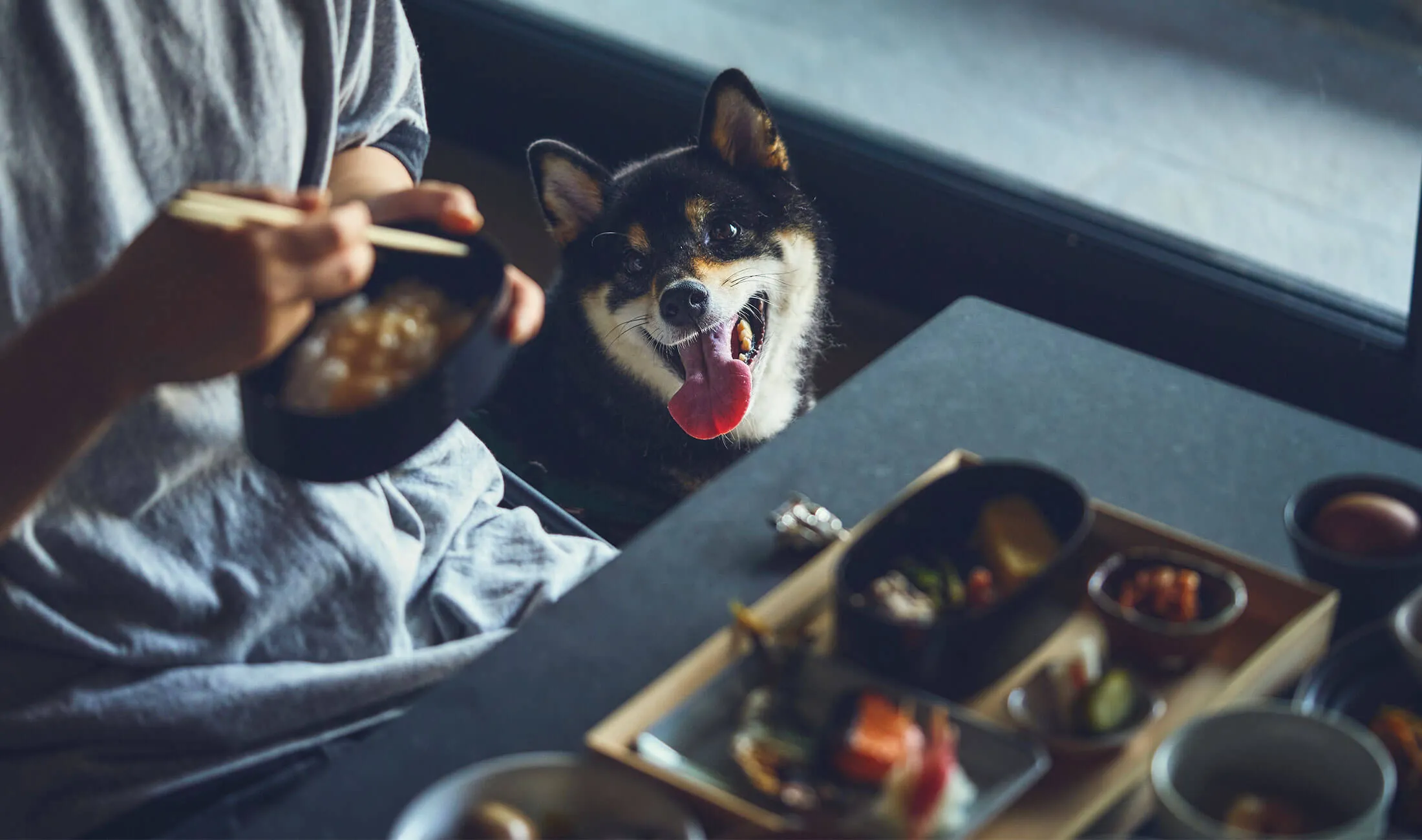 過去開催したツアーの写真
