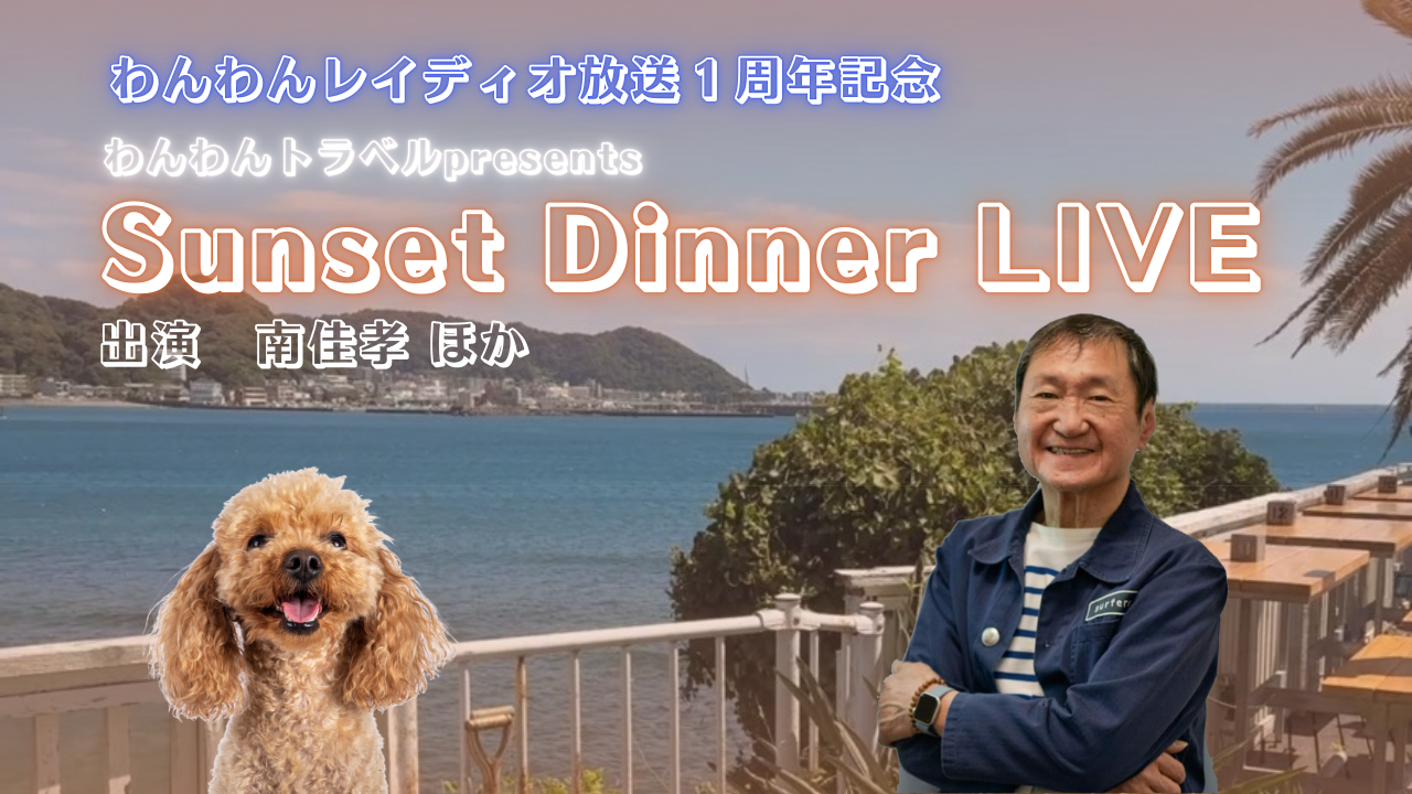 過去開催したツアーの写真