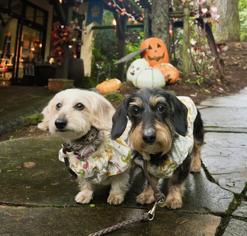 過去開催したツアーの写真